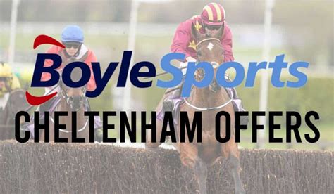 boyle sports cheltenham offers